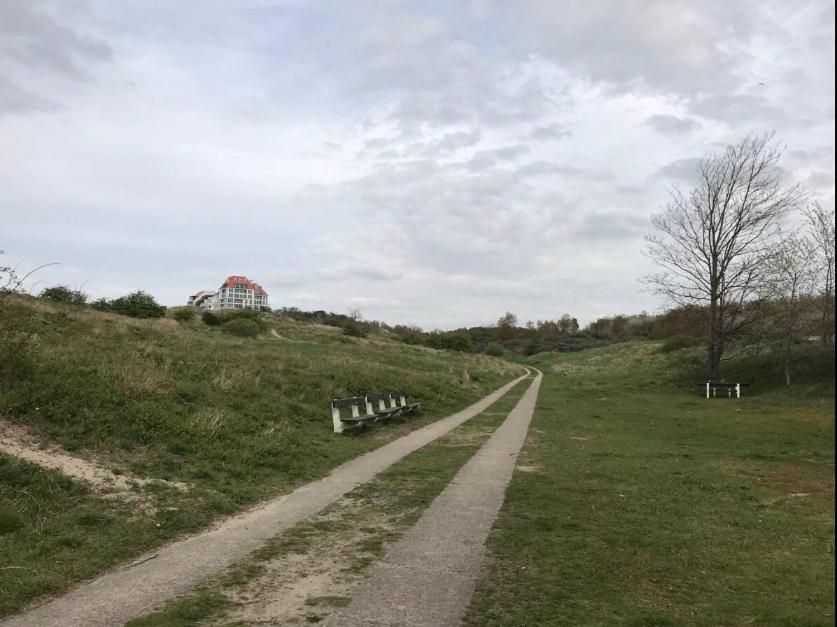 Studio Cosy A 2 Pas De La Mer Knokke-Heist Eksteriør billede